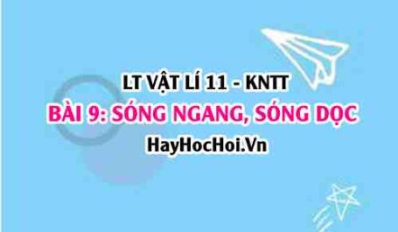 Lý thuyết Vật lí 11 Kết nối tri thức bài 9: Sóng ngang, sóng dọc và sự truyền năng lượng của sóng cơ